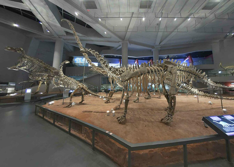 恐龙厅 | 恐龙世界