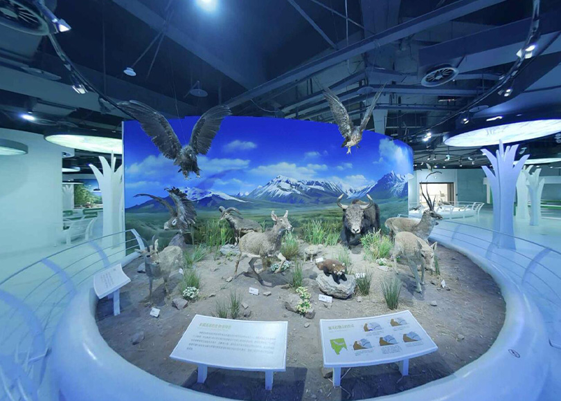 环境厅 | 生态家园