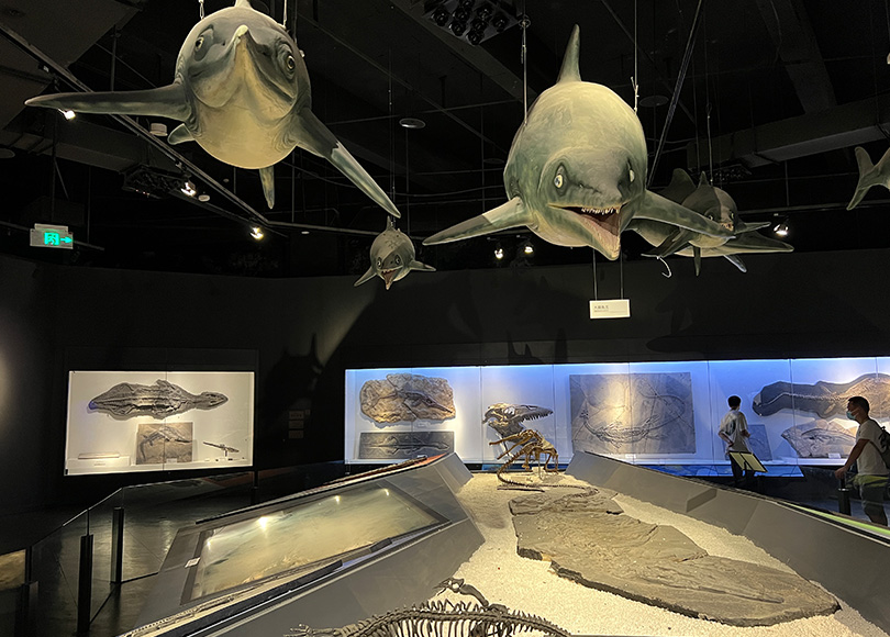 进化厅 | 生命激流