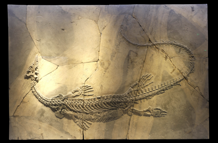 128黄果树安顺龙