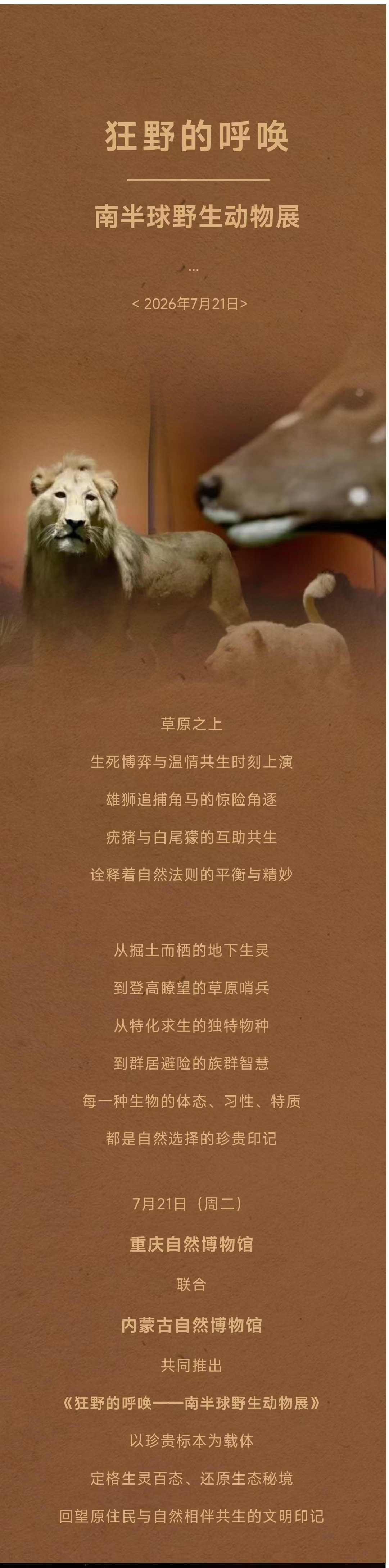 9b724158bd89a8cc8cf9fded5748564f